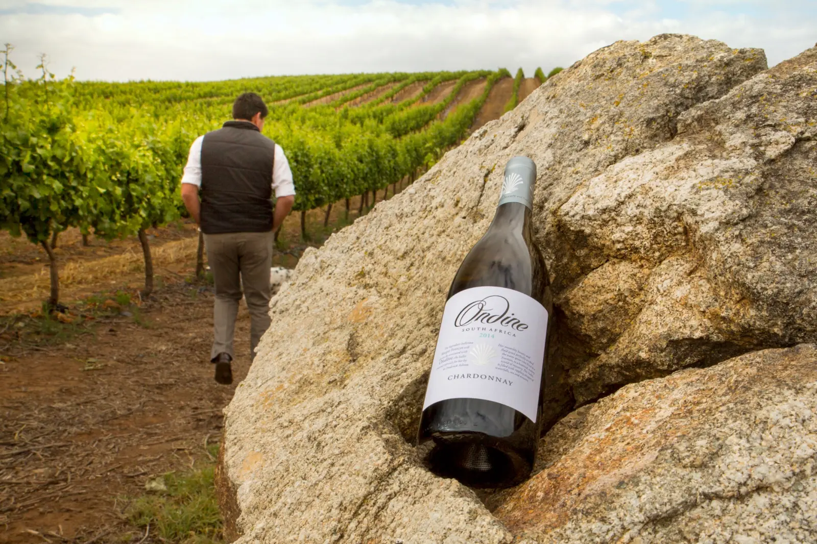 Ormonde Wines vineyards growing around ancient Darling granite